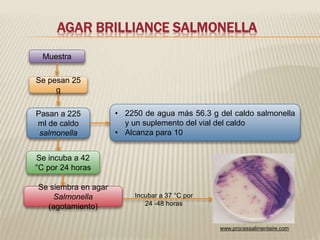 AGAR BRILLIANCE SALMONELLA 
Incubar a 37 °C por 
24 -48 horas 
Muestra 
Se pesan 25 
g 
Pasan a 225 
ml de caldo 
salmonella 
• 2250 de agua más 56.3 g del caldo salmonella 
y un suplemento del vial del caldo 
• Alcanza para 10 
Se incuba a 42 
°C por 24 horas 
Se siembra en agar 
Salmonella 
(agotamiento) 
www.processalimentaire.com 
 
