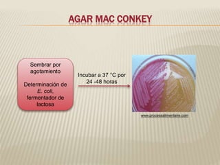 AGAR MAC CONKEY 
Incubar a 37 °C por 
24 -48 horas 
Sembrar por 
agotamiento 
Determinación de 
E. coli, 
fermentador de 
lactosa 
www.processalimentaire.com 
 