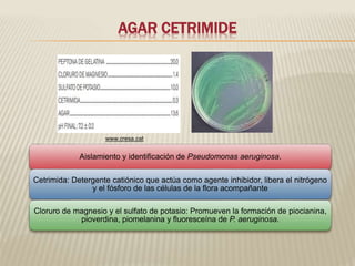 AGAR CETRIMIDE 
www.cresa.cat 
Aislamiento y identificación de Pseudomonas aeruginosa. 
Cetrimida: Detergente catiónico que actúa como agente inhibidor, libera el nitrógeno 
y el fósforo de las células de la flora acompañante 
Cloruro de magnesio y el sulfato de potasio: Promueven la formación de piocianina, 
pioverdina, piomelanina y fluoresceína de P. aeruginosa. 
 