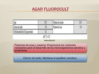 AGAR FLUOROCULT 
www.cresa.cat 
Peptonas de soya y caseína: Proporciona los nutrientes 
necesarios para el desarrollo de los microorganismos aerobios y 
anaerobios. 
Cloruro de sodio: Mantiene el equilibrio osmótico. 
 