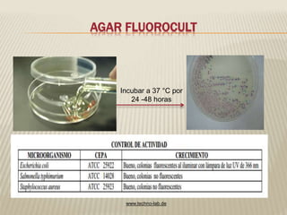 AGAR FLUOROCULT 
Incubar a 37 °C por 
24 -48 horas 
www.techno-lab.de 
 