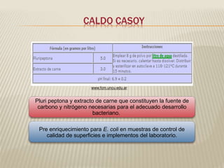 CALDO CASOY 
www.fcm.uncu.edu.ar 
Pluri peptona y extracto de carne que constituyen la fuente de 
carbono y nitrógeno necesarias para el adecuado desarrollo 
bacteriano. 
Pre enriquecimiento para E. coli en muestras de control de 
calidad de superficies e implementos del laboratorio. 
 