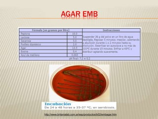 AGAR EMB 
http://www.britanialab.com.ar/esp/productos/b02/embagar.htm 
 