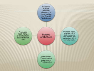 En carne, 
huevos, 
pescado, 
piensos, y la 
orina con los 
kits Premi® 
Test rápidos 
Detecta 
antibióticos 
Usando la pipeta, 
se añade 100 ul 
de la muestra a 
una ampolla, que 
se incuba a 65 °C 
en baño maría 
Color amarillo: 
Prueba negativa 
Color morado: 
Prueba positiva 
Prueba de 
Indol: Rompe 
el indol del ami 
noácido triptóf 
ano 
 