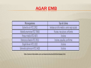 AGAR EMB 
http://www.britanialab.com.ar/esp/productos/b02/embagar.htm 
 