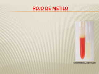 ROJO DE METILO 
cateterdoblejota.blogspot.com 
 