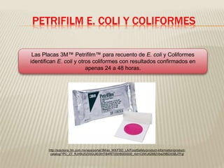 PETRIFILM E. COLI Y COLIFORMES 
Las Placas 3M™ Petrifilm™ para recuento de E. coli y Coliformes 
identifican E. coli y otros coliformes con resultados confirmados en 
apenas 24 a 48 horas. 
http://solutions.3m.com.mx/wps/portal/3M/es_MX/FSD_LA/FoodSafety/product-information/product-catalog/? 
PC_Z7_RJH9U5230GUIE0IHTB4RIT0SH6000000_nid=C0WJ62882Vbe29BDXSBJ7Fgl 
 