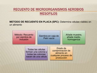 RECUENTO DE MICROORGANISMOS AEROBIOS 
MESOFILOS 
METODO DE RECUENTO EN PLACA (SPC): Determina células viables en 
un alimento 
Método: Recuento 
por siembra de 
inclusión 
Siembra en caja de 
Petri vacía 
Añade muestra, 
añade medio, 
homogeniza 
Todas las células 
forman una colonia y 
todas las colonias 
nacen de una célula 
Grado de 
contaminación de 
alimento en 
cualquier proceso de 
producción 
 