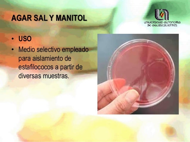 Medio De Cultivo Agar Sal Y Manitol www.slideshare.net