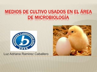 MEDIOS DE CULTIVO USADOS EN EL ÁREA
DE MICROBIOLOGÍA
Luz Adriana Ramirez Caballero
Naina Duran Vaca
 