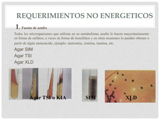 REQUERIMIENTOS NO ENERGETICOS
1. Fuente de azufre
Todos los microrganismos que utilizan en su metabolismo azufre lo hacen mayoritariamente
en forma de sulfatos, a veces en forma de tiosulfatos y en otras ocasiones lo pueden obtener a
partir de algún aminoácido, ejemplo: metionina, cisteína, tiamina, etc.
Agar SIM
Agar TSI
Agar XLD
Agar TSI o KIA SIM XLD
 