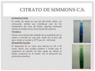 CITRATO DE SIMMONS C.S.
INTRODUCCION
• El citrato de sodio es una sal del ácido cítrico, un
compuesto simple que constituye uno de los
metabolitos del ciclo de Krebs, algunas bacterias
utilizan el citrato como única fuente de carbono.
TECNICA
• Tomar una colonia bien aislada de la superficie de un
medio e inocular en una sola ,estría en el pico del
agro citrato e incubar a 37ºC por 24 - 48 horas.
INTERPRETACION
• El desarrollo de un color azul intenso en 24 a 48
horas indica una prueba positiva y revela que el
organismo en estudio ha sido capaz de utilizar el
citrato contenido en el medio, con la formación de
productos alcalinos.
 