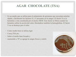 AGAR CHOCOLATE (TSA)
• Es un medio que se utiliza para el aislamiento de gérmenes que necesitan asimilar
rápido y fácilmente los factores X y V presentes en la sangre. El factor X es la
hematina y esta constituida por el núcleo HEM. Este factor se libera cuando los
hematíes sufren la acción del calor, liberándose también la hemoglobina. El factor
V no se destruye por el calor.
• Como medio base se utiliza Agar
• Casoy,TSA,etc.
• Sobre el medio base licuado y
• mantenido a 70º se agrega la sangre fresca y estéril.
 
