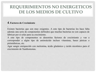 REQUERIMIENTOS NO ENERGETICOS
DE LOS MEDIOS DE CULTIVO
4. Factores de Crecimiento
.
Existen bacterias que son muy exigentes. A este tipo de bacterias les hace falta
además una serie de componentes definidos que muchas bacterias no son capaces de
fabricar por sí solas para su crecimiento.
A este tipo de componentes se denomina factores de crecimiento y van a
corresponder a algún tipo de aminoácido incluso vitaminas, bases púricas o
pirimidinicas, etc.
Agar sangre enriquecido con metionina, ácido glutámico y ácido nicotínico para el
crecimiento de Xanthomonas.
 