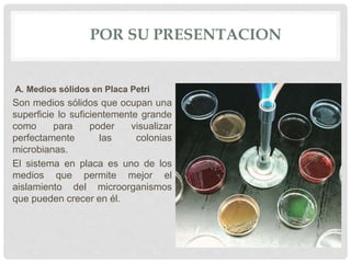 POR SU PRESENTACION
A. Medios sólidos en Placa Petri
Son medios sólidos que ocupan una
superficie lo suficientemente grande
como para poder visualizar
perfectamente las colonias
microbianas.
El sistema en placa es uno de los
medios que permite mejor el
aislamiento del microorganismos
que pueden crecer en él.
 
