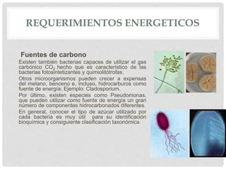 REQUERIMIENTOS ENERGETICOS
Fuentes de carbono
Existen también bacterias capaces de utilizar el gas
carbónico CO2 hecho que es característico de las
bacterias fotosintetizantes y quimiolitótrofas.
Otros microorganismos pueden crecer a expensas
del metano, benceno e, incluso, hidrocarburos como
fuente de energía: Ejemplo: Cladosporium.
Por último, existen especies como Pseudomonas,
que pueden utilizar como fuente de energía un gran
número de componentes hidrocarbonados diferentes.
En general, conocer el tipo de azúcar utilizado por
cada bacteria es muy útil para su identificación
bioquímica y consiguiente clasificación taxonómica.
 