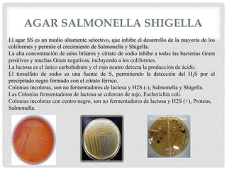 AGAR SALMONELLA SHIGELLA
El agar SS es un medio altamente selectivo, que inhibe el desarrollo de la mayoría de los
coliformes y permite el crecimiento de Salmonella y Shigella.
La alta concentración de sales biliares y citrato de sodio inhibe a todas las bacterias Gram
positivas y muchas Gram negativas, incluyendo a los coliformes.
La lactosa es el único carbohidrato y el rojo neutro detecta la producción de ácido.
El tiosulfato de sodio es una fuente de S, permitiendo la detección del H2S por el
precipitado negro formado con el citrato férrico.
Colonias incoloras, son no fermentadores de lactosa y H2S (-), Salmonella y Shigella.
Las Colonias fermentadoras de lactosa se colorean de rojo, Escherichia coli.
Colonias incoloras con centro negro, son no fermentadores de lactosa y H2S (+), Proteus,
Salmonella.
 