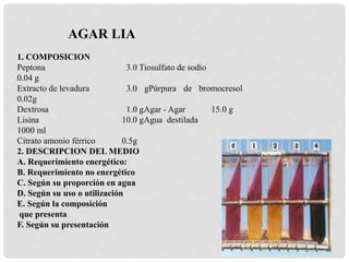1. COMPOSICION
Peptona 3.0 Tiosulfato de sodio
0.04 g
Extracto de levadura 3.0 gPúrpura de bromocresol
0.02g
Dextrosa 1.0 gAgar - Agar 15.0 g
Lisina 10.0 gAgua destilada
1000 ml
Citrato amonio férrico 0.5g
2. DESCRIPCION DEL MEDIO
A. Requerimiento energético:
B. Requerimiento no energético
C. Según su proporción en agua
D. Según su uso o utilización
E. Según la composición
que presenta
F. Según su presentación
AGAR LIA
 