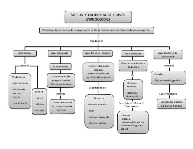 Resultado de imagen para mapa conceptual de medios de cultivo microbiologia