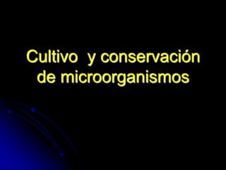 Cultivo y conservación
de microorganismos
 