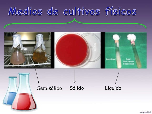 Medios de cultivos (cindy tania)