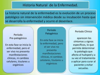 Historia Natural de la Enfermedad.
La historia natural de la enfermedad es la evolución de un proceso
patológico sin intervención médica desde su incubación hasta que
se desarrolla la enfermedad y ocurre el desenlace.
Período
Patogénico
En esta fase se inicia
la enfermedad, pero
el ser vivo no
presenta
manifestaciones
clínicas, ni cambios
celulares, tisulares u
orgánicos
Período
Pre-patogénico
En esta fase se inicia la
enfermedad, pero el
ser vivo no presenta
manifestaciones
clínicas, ni cambios
celulares, tisulares u
orgánicos
Período Clínico
aparecen los
síntomas y signos
específicos, lo que
permite determinar
la patología que
afecta al huésped y a
su vez el tratamiento
a aplicar para curar al
paciente y evitar
secuelas.
 