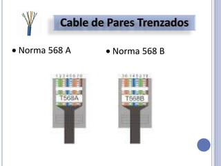 Norma 568 A Norma 568 B
 