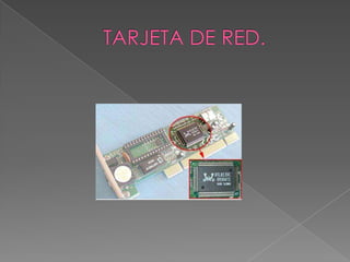 TARJETA DE RED.