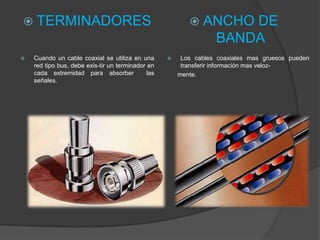  TERMINADORES                                             ANCHO     DE
                                                                  BANDA
   Cuando un cable coaxial se utiliza en una          Los cables coaxiales mas gruesos pueden
    red tipo bus, debe exis-tir un terminador en        transferir información mas veloz-
    cada extremidad para absorber            las       mente.
    señales.
 
