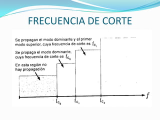 FRECUENCIA DE CORTE
 