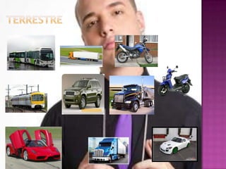 Medios de transportes