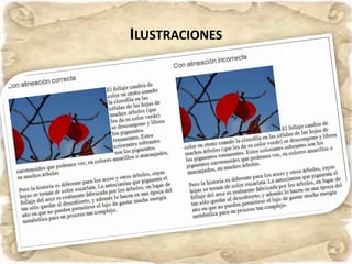 ILUSTRACIONES
 