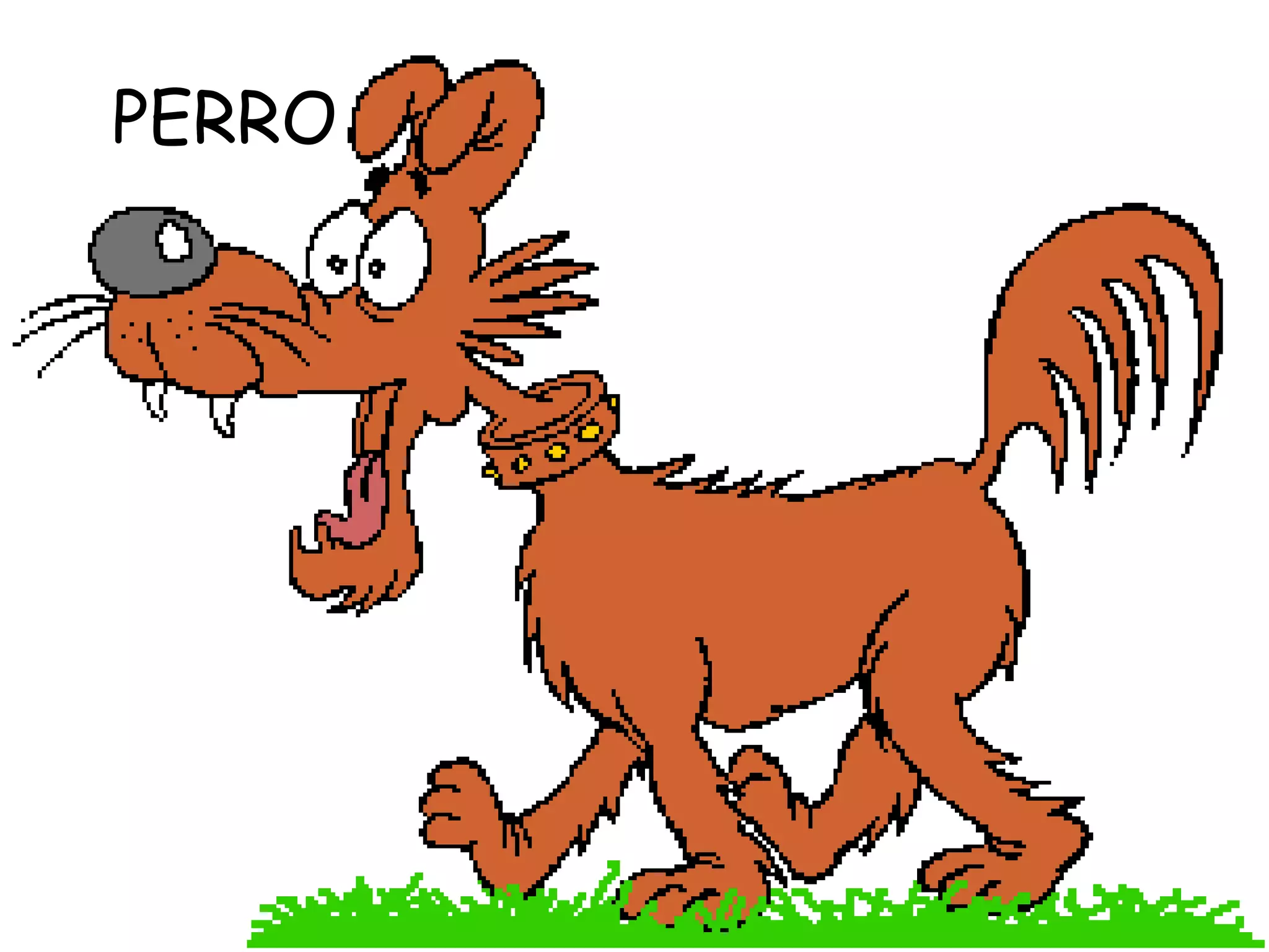 PERRO