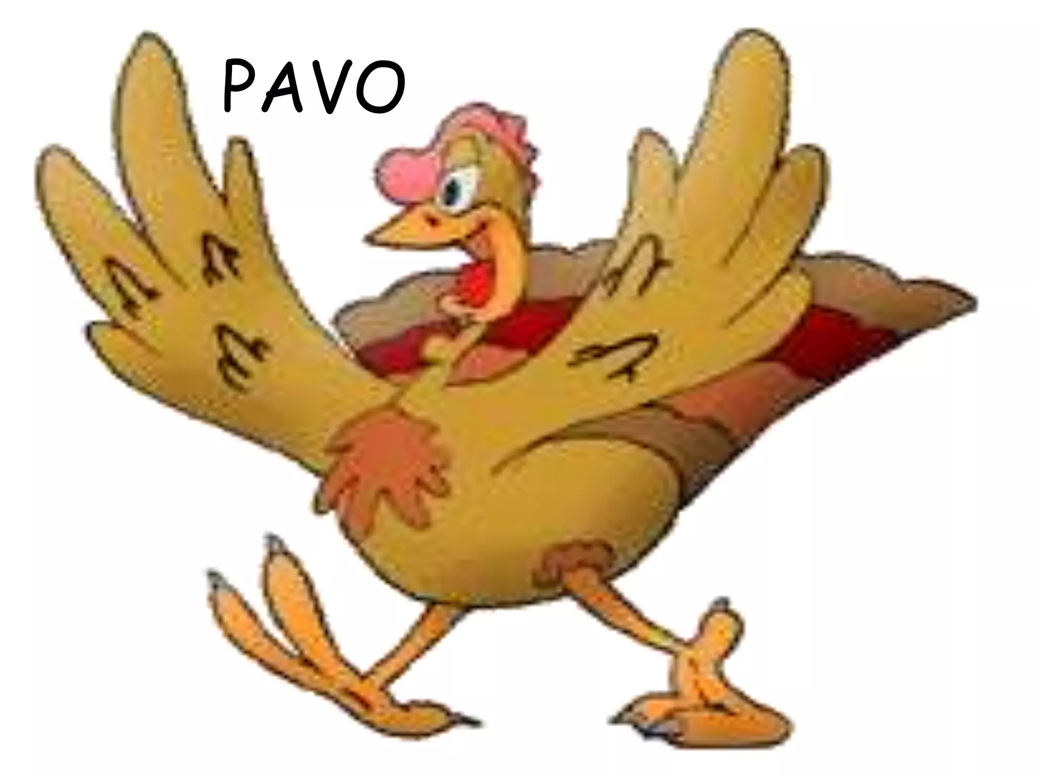PAVO