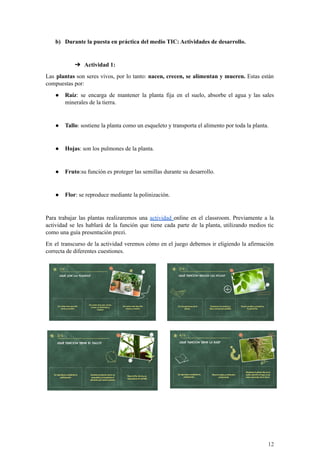 b) Durante la puesta en práctica del medio TIC: Actividades de desarrollo.
➔ Actividad 1:
Las plantas son seres vivos, por lo tanto: nacen, crecen, se alimentan y mueren. Estas están
compuestas por:
● Raíz: se encarga de mantener la planta fija en el suelo, absorbe el agua y las sales
minerales de la tierra.
● Tallo: sostiene la planta como un esqueleto y transporta el alimento por toda la planta.
● Hojas: son los pulmones de la planta.
● Fruto:su función es proteger las semillas durante su desarrollo.
● Flor: se reproduce mediante la polinización.
Para trabajar las plantas realizaremos una actividad online en el classroom. Previamente a la
actividad se les hablará de la función que tiene cada parte de la planta, utilizando medios tic
como una guía presentación prezi.
En el transcurso de la actividad veremos cómo en el juego debemos ir eligiendo la afirmación
correcta de diferentes cuestiones.
12
 