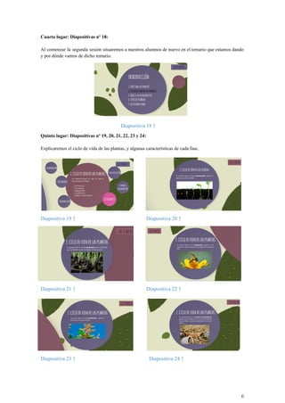 Cuarto lugar: Diapositivas nº 18:
Al comenzar la segunda sesión situaremos a nuestros alumnos de nuevo en el temario que estamos dando
y por dónde vamos de dicho temario.
Diapositiva 18 ↑
Quinto lugar: Diapositivas nº 19, 20, 21, 22, 23 y 24:
Explicaremos el ciclo de vida de las plantas, y algunas características de cada fase.
Diapositiva 19 ↑ Diapositiva 20 ↑
Diapositiva 21 ↑ Diapositiva 22 ↑
Diapositiva 23 ↑ Diapositiva 24 ↑
6
 