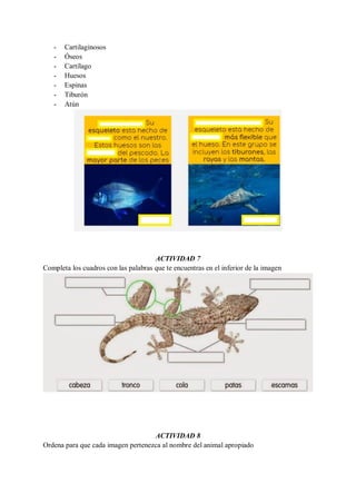 - Cartilaginosos
- Óseos
- Cartílago
- Huesos
- Espinas
- Tiburón
- Atún
ACTIVIDAD 7
Completa los cuadros con las palabras que te encuentras en el inferior de la imagen
ACTIVIDAD 8
Ordena para que cada imagen pertenezca al nombre del animal apropiado
 