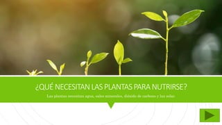 ¿QUÉNECESITANLASPLANTASPARANUTRIRSE?
Las plantas necesitan agua, sales minerales, dióxido de carbono y luz solar.
 