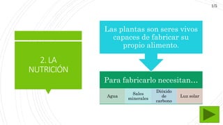 2.LA
NUTRICIÓN
Para fabricarlo necesitan…
Agua
Sales
minerales
Dióxido
de
carbono
Luz solar
Las plantas son seres vivos
capaces de fabricar su
propio alimento.
1/5
 