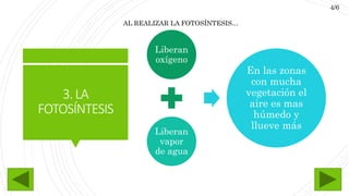 3.LA
FOTOSÍNTESIS
Liberan
oxígeno
Liberan
vapor
de agua
En las zonas
con mucha
vegetación el
aire es mas
húmedo y
llueve más
AL REALIZAR LA FOTOSÍNTESIS…
4/6
 