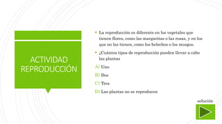 ACTIVIDAD
REPRODUCCIÓN
 La reproducción es diferente en los vegetales que
tienen flores, como las margaritas o las rosas, y en los
que no las tienen, como los helechos o los musgos.
 ¿Cuántos tipos de reproducción pueden llevar a cabo
las plantas
A) Uno
B) Dos
C) Tres
D) Las plantas no se reproducen
solución
 