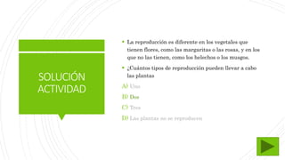 SOLUCIÓN
ACTIVIDAD
 La reproducción es diferente en los vegetales que
tienen flores, como las margaritas o las rosas, y en los
que no las tienen, como los helechos o los musgos.
 ¿Cuántos tipos de reproducción pueden llevar a cabo
las plantas
A) Uno
B) Dos
C) Tres
D) Las plantas no se reproducen
 