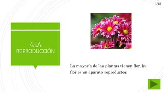4.LA
REPRODUCCIÓN
La mayoría de las plantas tienen flor, la
flor es su aparato reproductor.
1/12
 