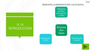 4.LA
REPRODUCCIÓN Existen
dos
tipos
Originan
plantas
semejantes
a ellas
Reproducción
asexual
Reproducción
sexual
MEDIANTE LA REPRODUCCIÓN, LAS PLANTAS…
2/12
 