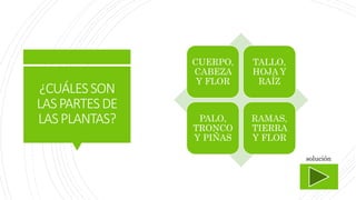 ¿CUÁLESSON
LASPARTESDE
LASPLANTAS?
CUERPO,
CABEZA
Y FLOR
TALLO,
HOJA Y
RAÍZ
PALO,
TRONCO
Y PIÑAS
RAMAS,
TIERRA
Y FLOR
solución
 