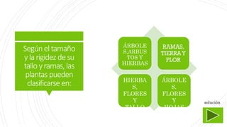 Segúneltamaño
ylarigidez desu
tallo yramas, las
plantas pueden
clasificarse en:
ÁRBOLE
S,ARBUS
TOS Y
HIERBAS
HIERBA
S,
FLORES
Y
TALLO
ÁRBOLE
S,
FLORES
Y
HOJAS
solución
 