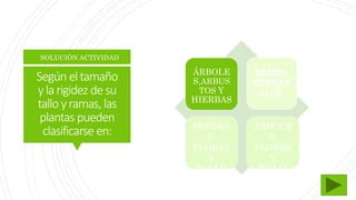 Segúneltamaño
ylarigidez desu
tallo yramas, las
plantas pueden
clasificarse en:
SOLUCIÓN ACTIVIDAD
ÁRBOLE
S,ARBUS
TOS Y
HIERBAS
HIERBA
S,
FLORES
Y
TALLO
ÁRBOLE
S,
FLORES
Y
HOJAS
 