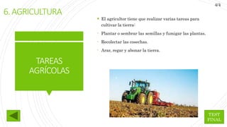 TAREAS
AGRÍCOLAS
 El agricultor tiene que realizar varias tareas para
cultivar la tierra:
- Plantar o sembrar las semillas y fumigar las plantas.
- Recolectar las cosechas.
- Arar, regar y abonar la tierra.
6.AGRICULTURA
TEST
FINAL
4/4
 