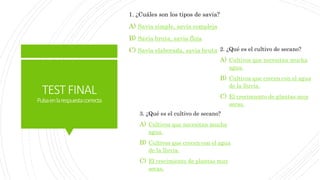 TESTFINAL
Pulsaenlarespuestacorrecta
1. ¿Cuáles son los tipos de savia?
A) Savia simple, savia compleja
B) Savia bruta, savia floja
C) Savia elaborada, savia bruta
3. ¿Qué es el cultivo de secano?
A) Cultivos que necesitan mucha
agua.
B) Cultivos que crecen con el agua
de la lluvia.
C) El crecimiento de plantas muy
secas.
2. ¿Qué es el cultivo de secano?
A) Cultivos que necesitan mucha
agua.
B) Cultivos que crecen con el agua
de la lluvia.
C) El crecimiento de plantas muy
secas.
 