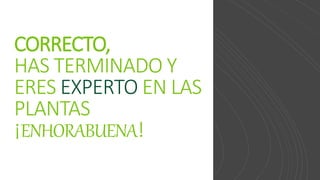 CORRECTO,
HAS TERMINADO Y
ERES EXPERTO EN LAS
PLANTAS
¡ENHORABUENA!
 